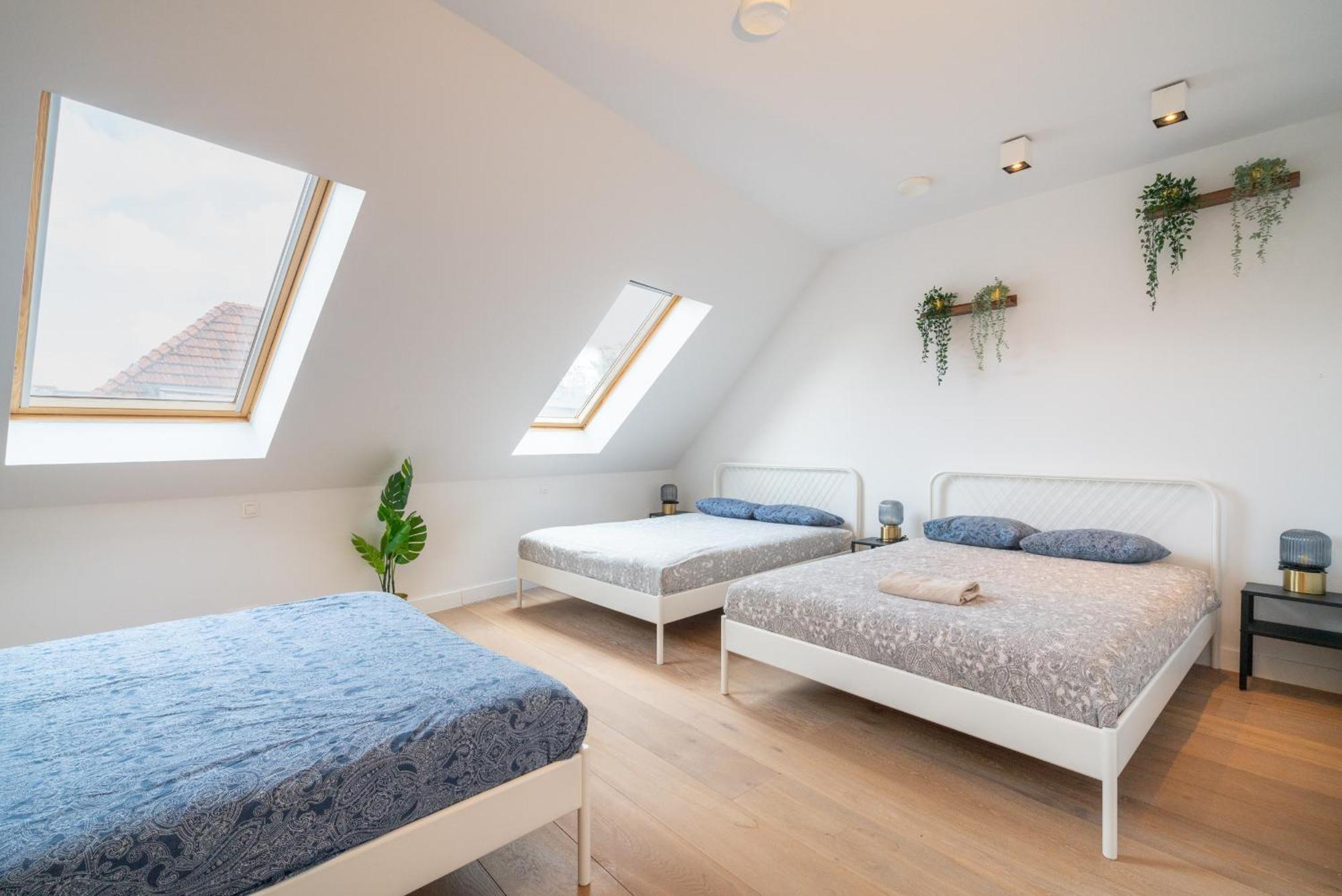 Light House Lodge. Apartment In Center Of Antwerpen Exterior foto
